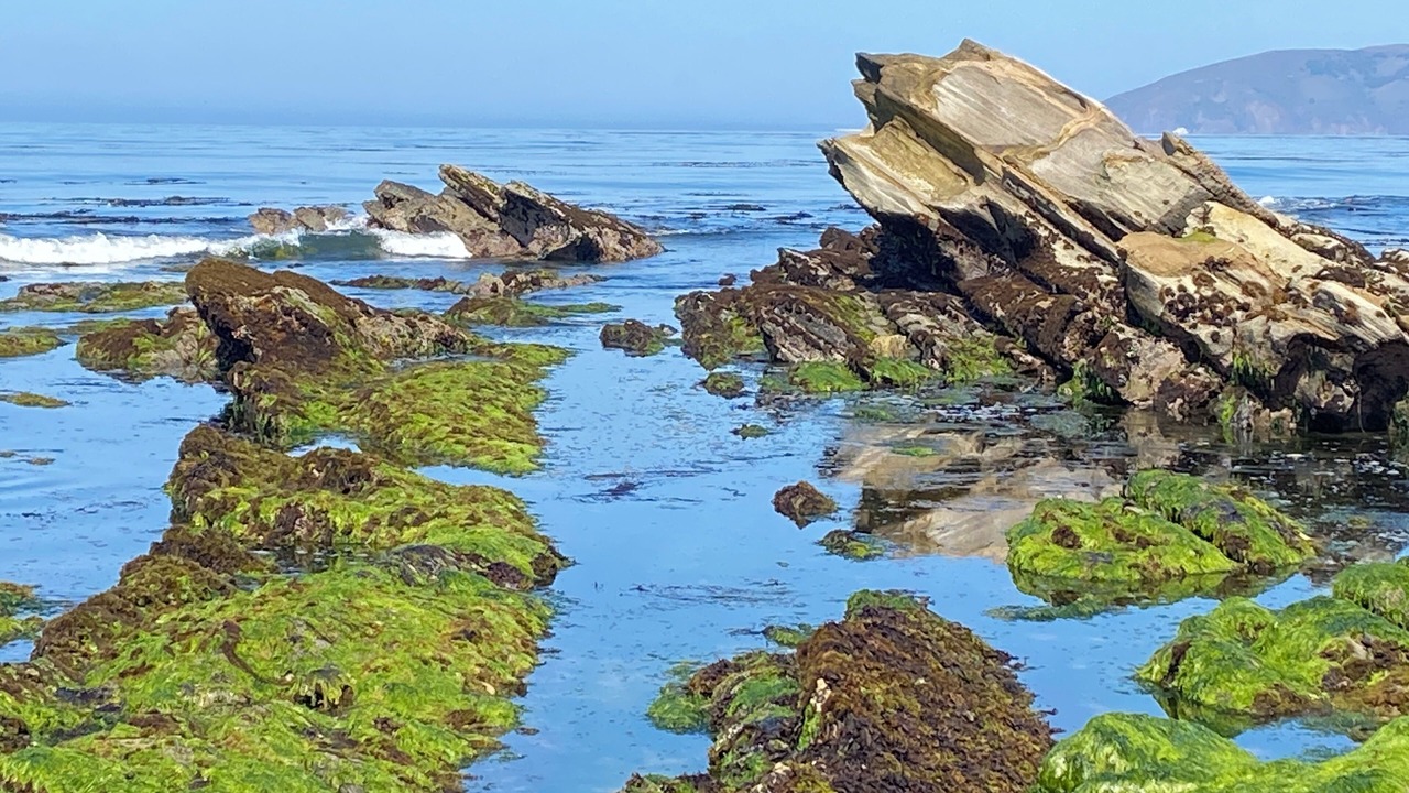 Photo of Others in Shell Beach
