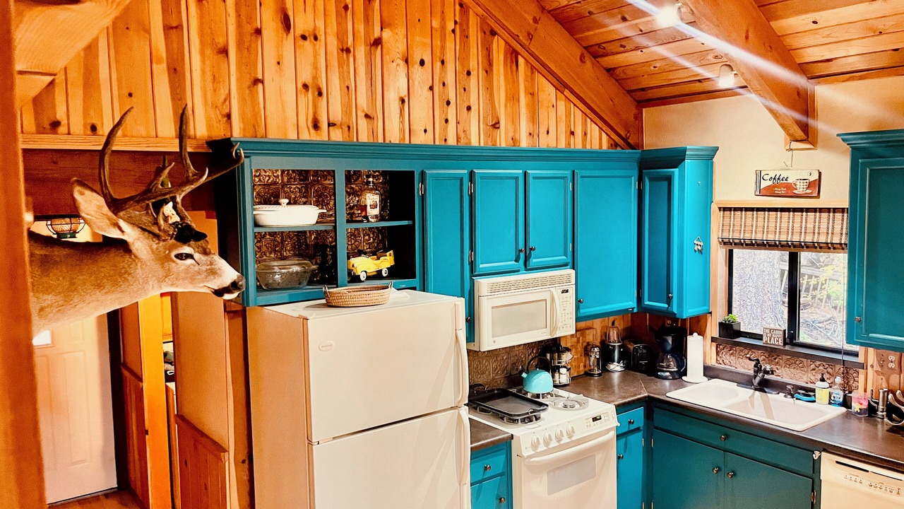 Photo of Kitchen in Dorrington