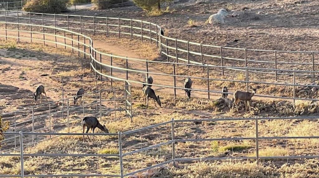 Photo of Others in Williamson