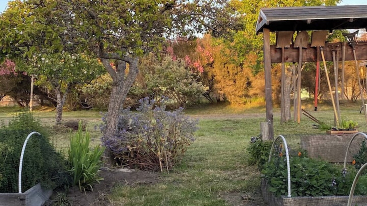 Photo of Outdoor in Fort Bragg