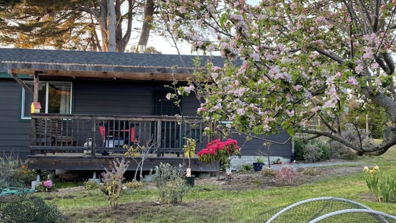 Photo of Patio Balcony in Fort Bragg