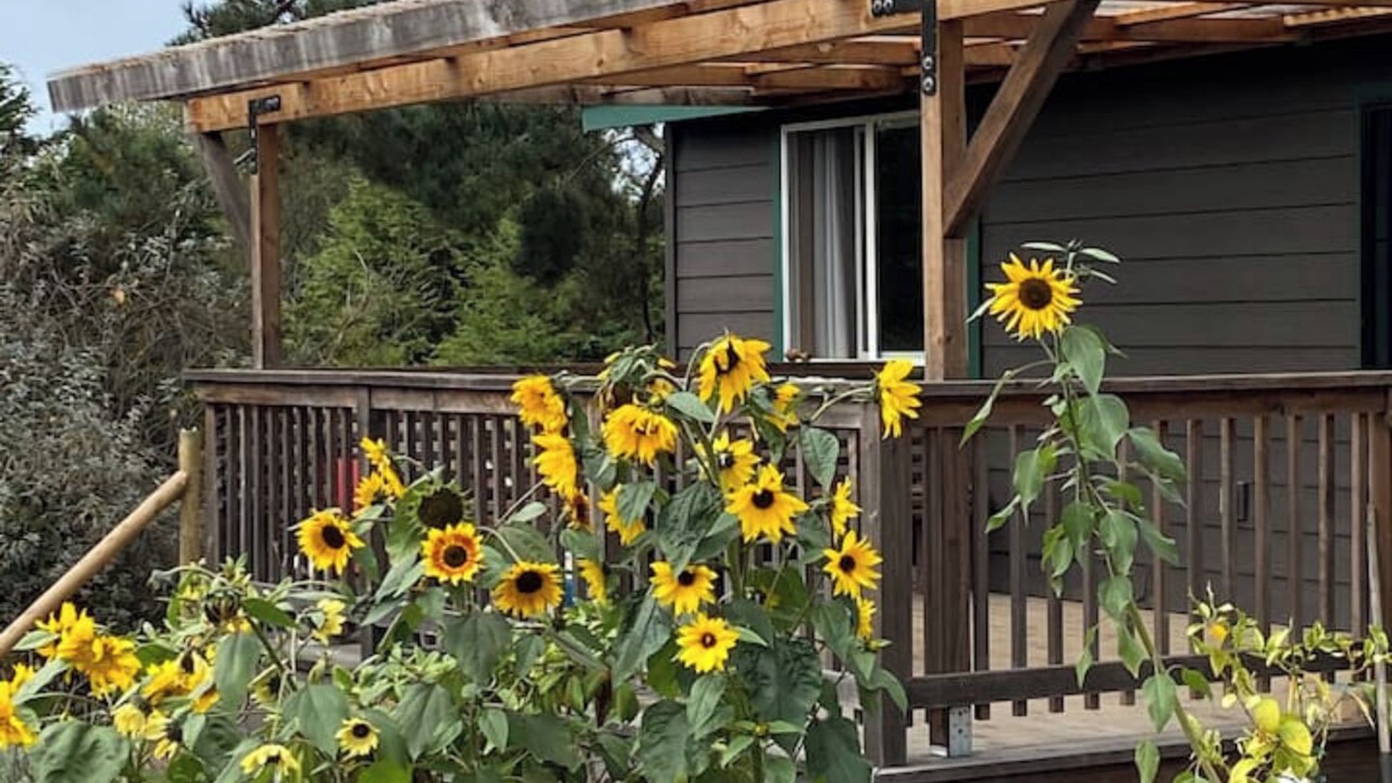 Photo of Outdoor in Fort Bragg