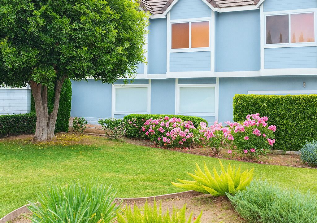 Photo of Outdoor in Arcadia