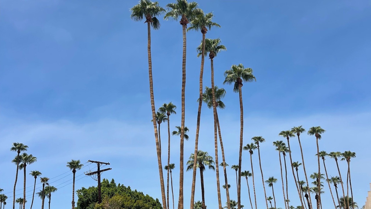 Photo of Outdoor in Old Las Palmas