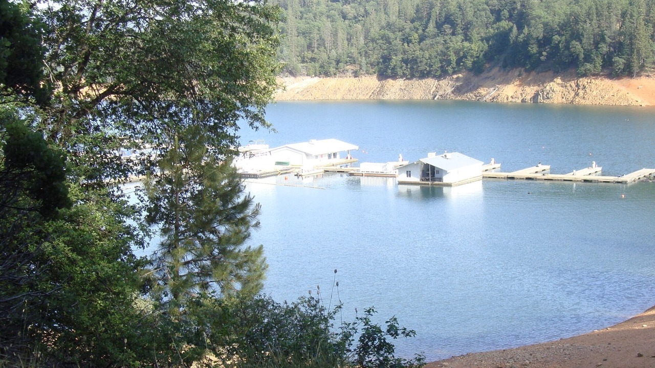 Photo of Others in Lakehead