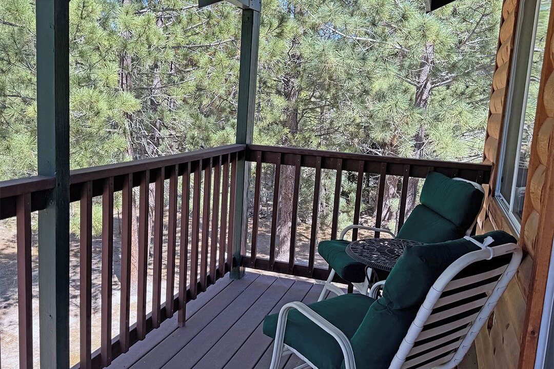 Photo of Outdoor in Viola