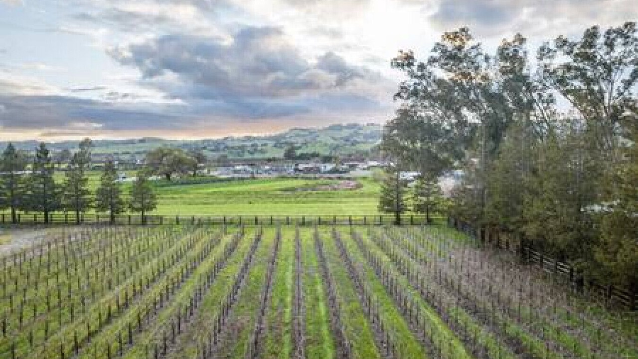 Photo of Others in Sonoma
