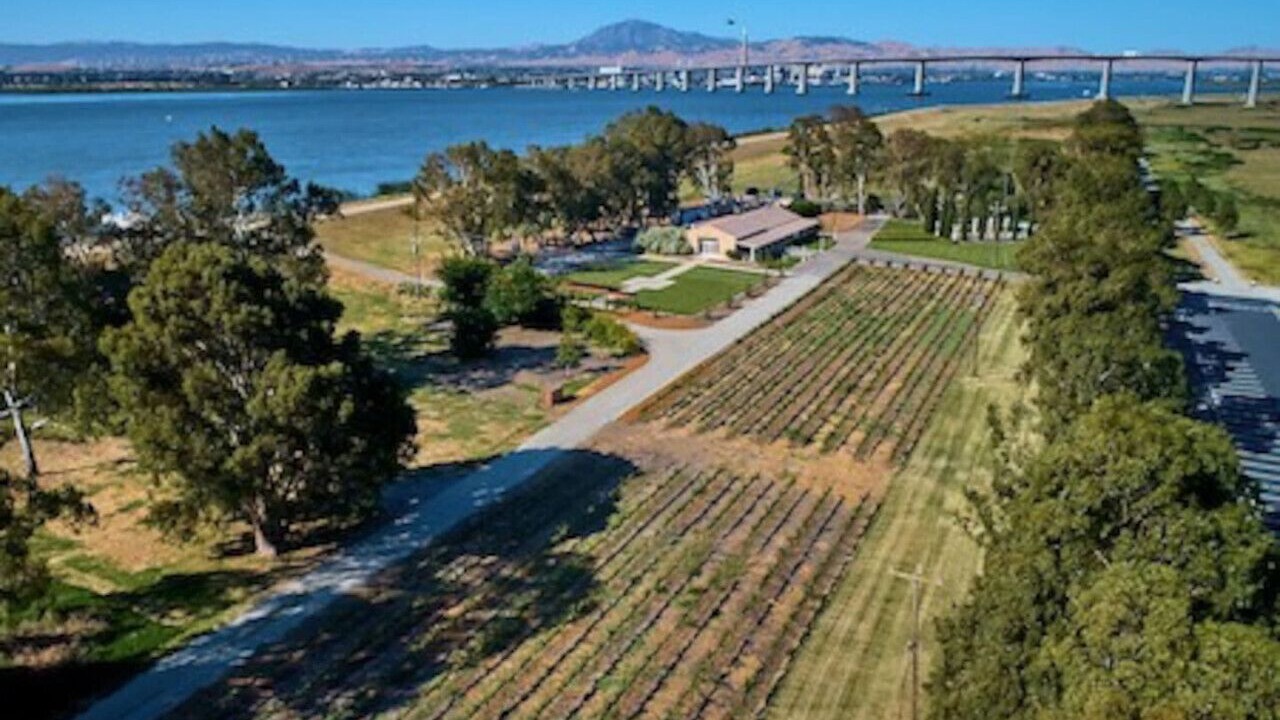 Photo of Outdoor in Rio Vista