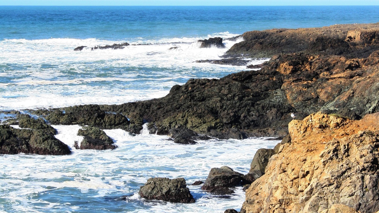 Photo of Others in Shelter Cove