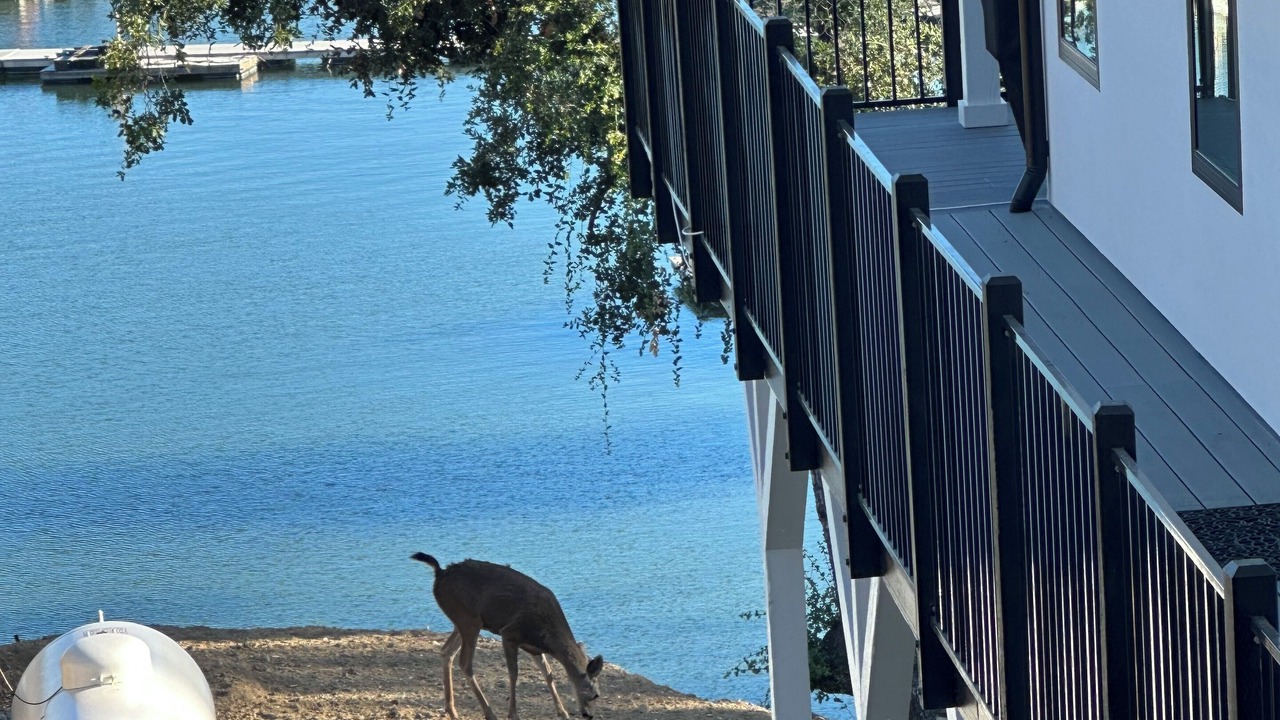 Photo of Others in Oak Shores