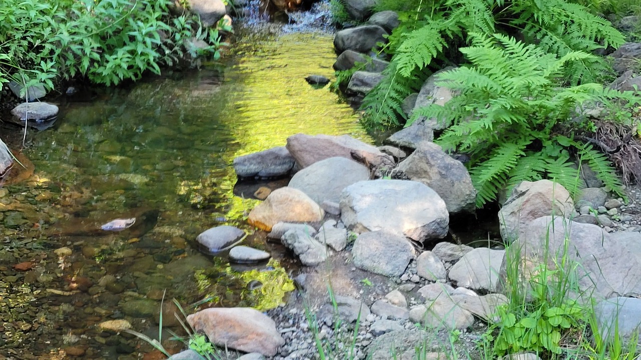 Photo of Outdoor in Sierra Village