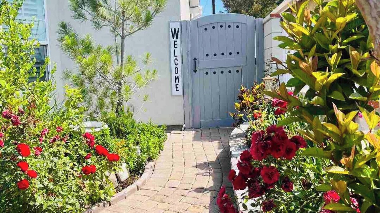 Photo of Outdoor in Orange
