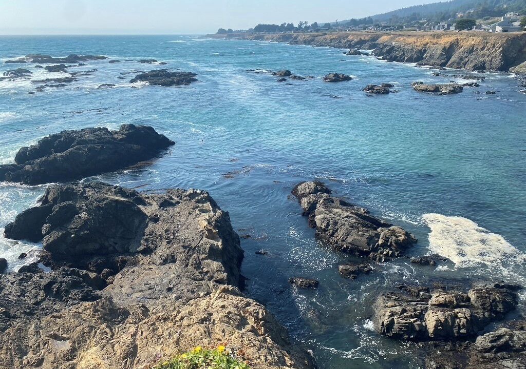 Photo of Outdoor in Gualala