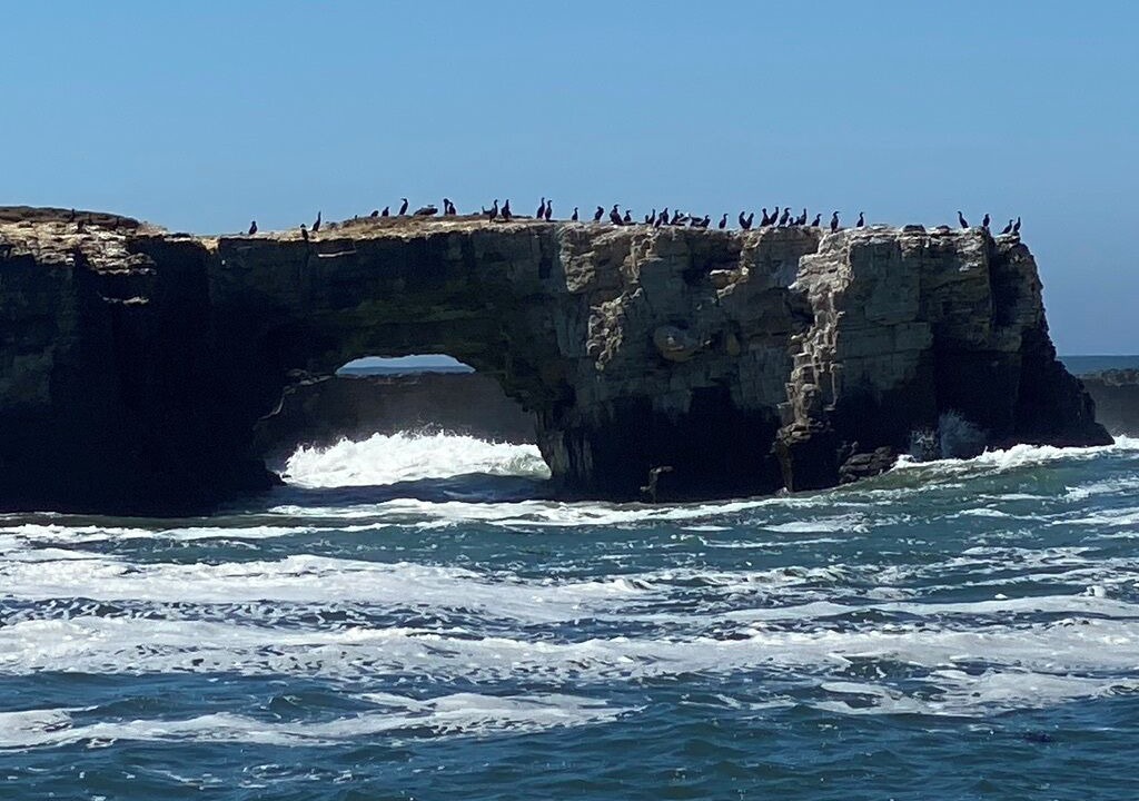 Photo of Others in Gualala