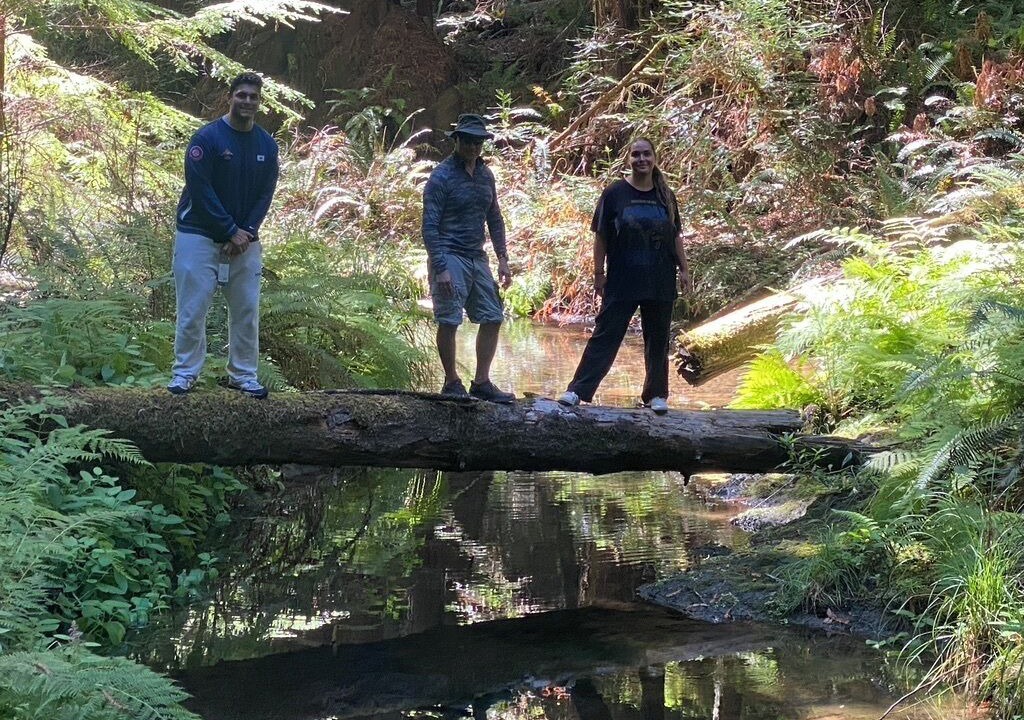 Photo of Others in Gualala