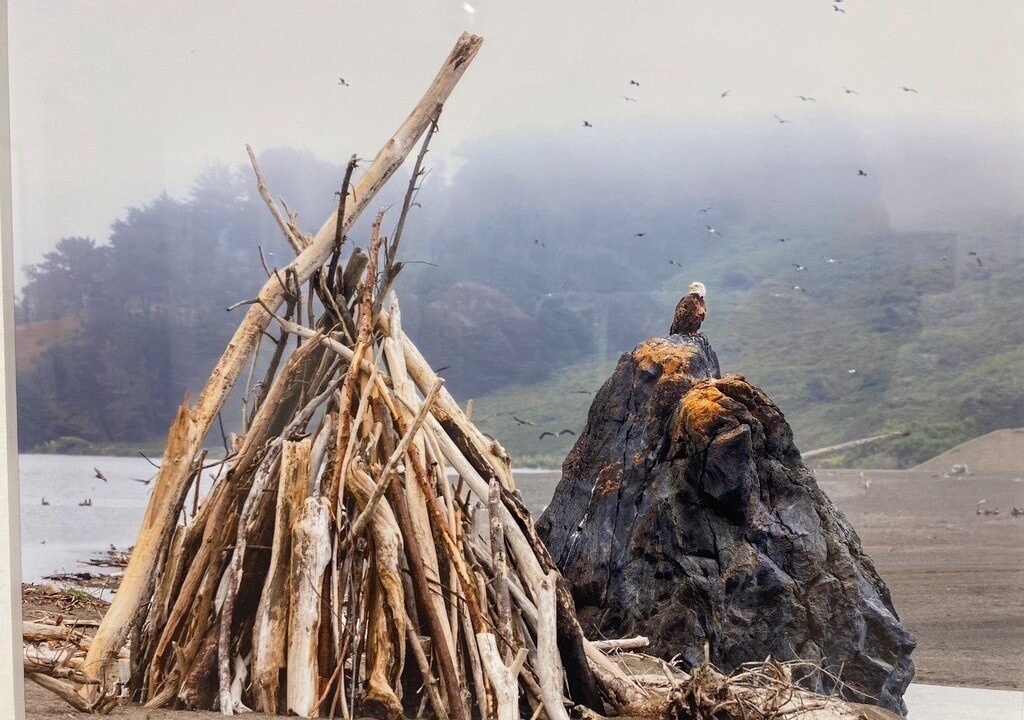 Photo of Others in Gualala