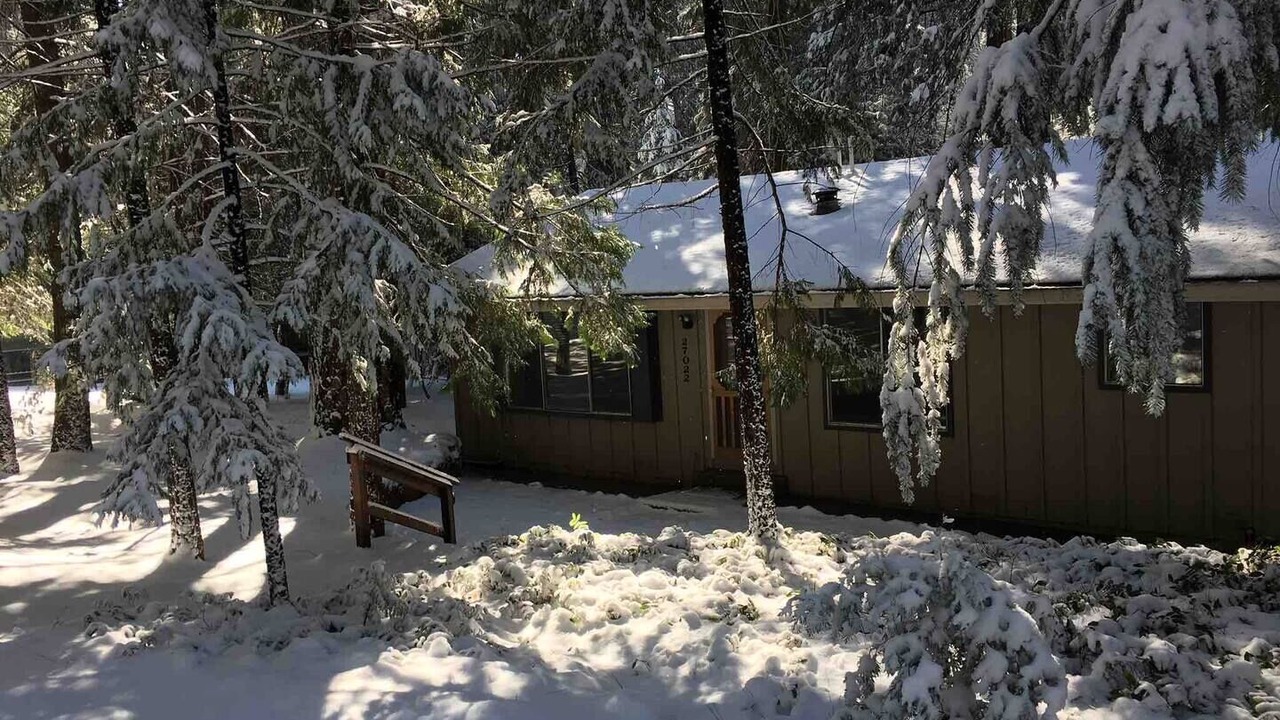 Photo of Outdoor in Glencoe