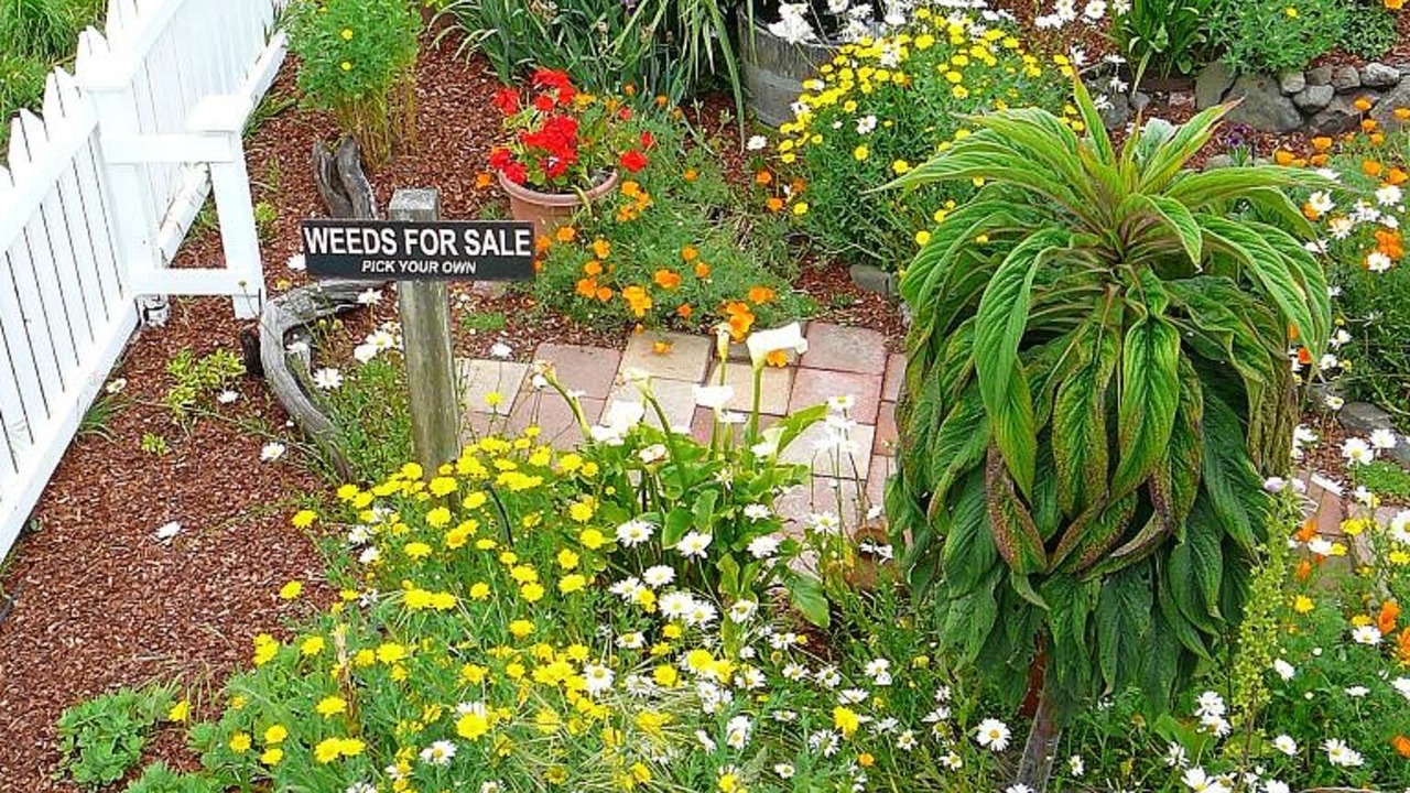 Photo of Outdoor in Mendocino