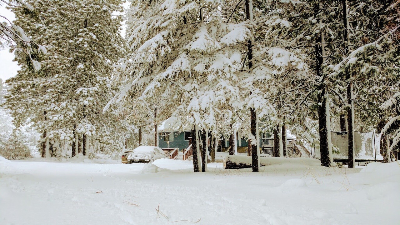 Photo of Others in Mount Shasta