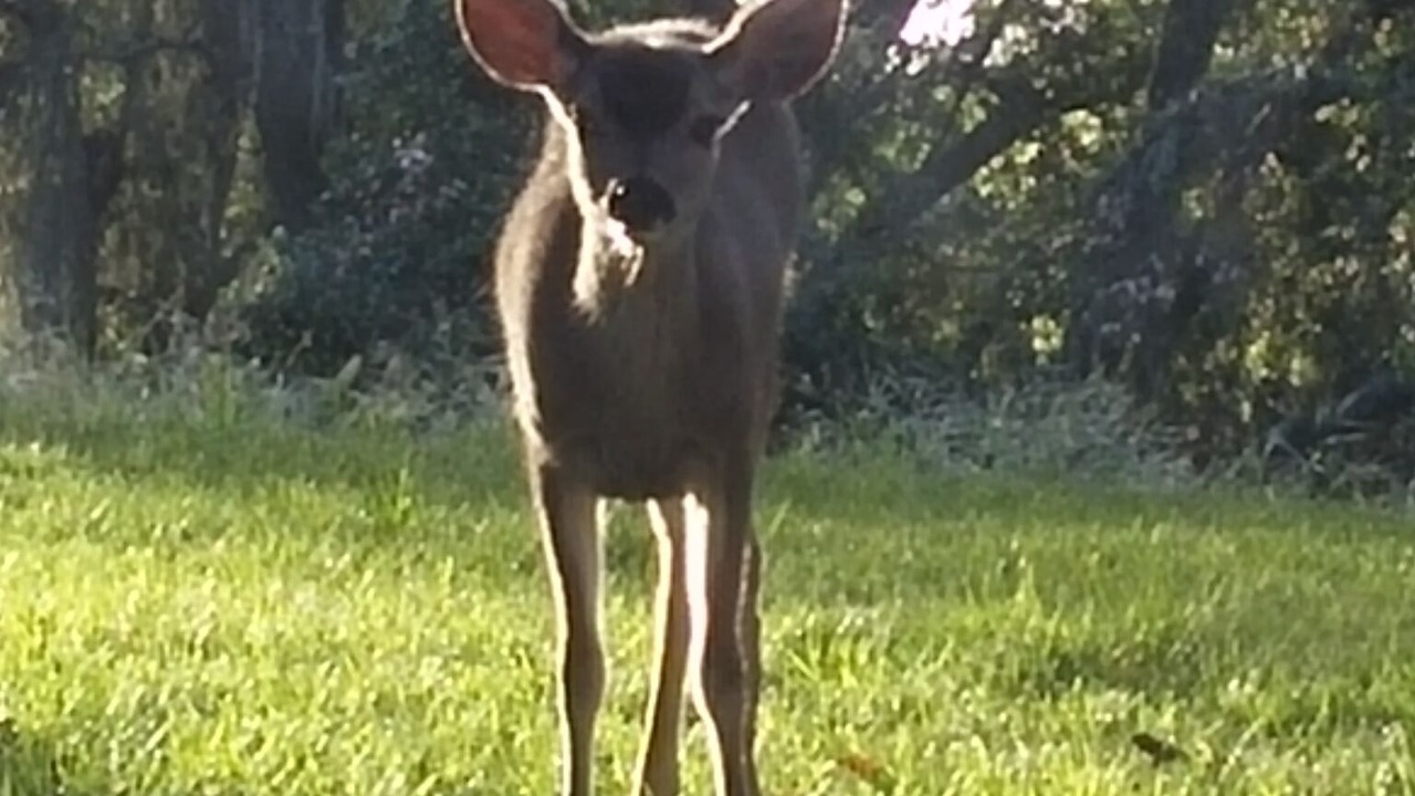 Photo of Others in Templeton