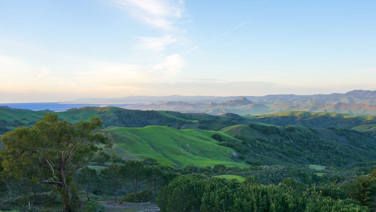 Photo of Others in San Luis Obispo