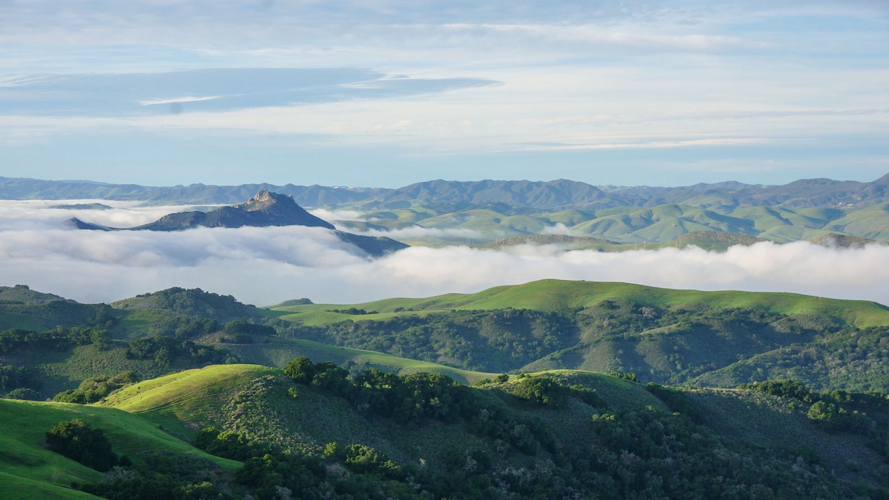 Photo of Others in San Luis Obispo