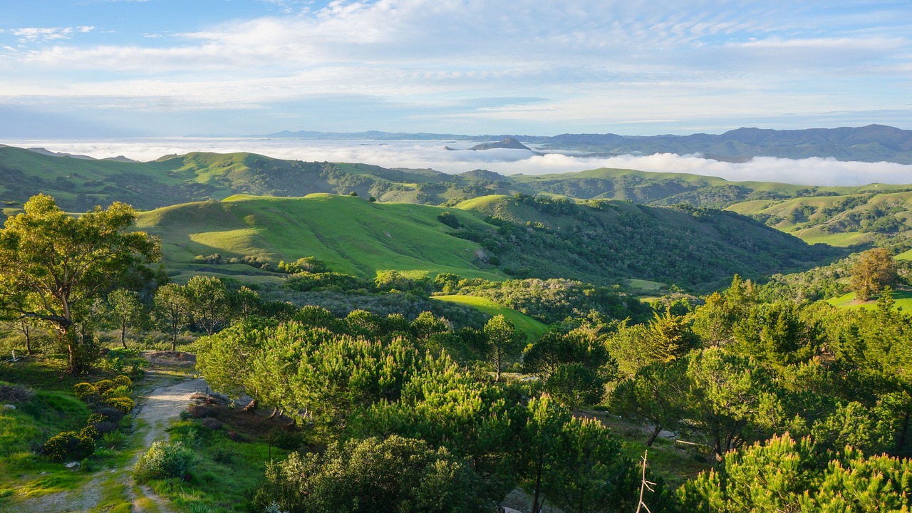Photo of Outdoor in San Luis Obispo