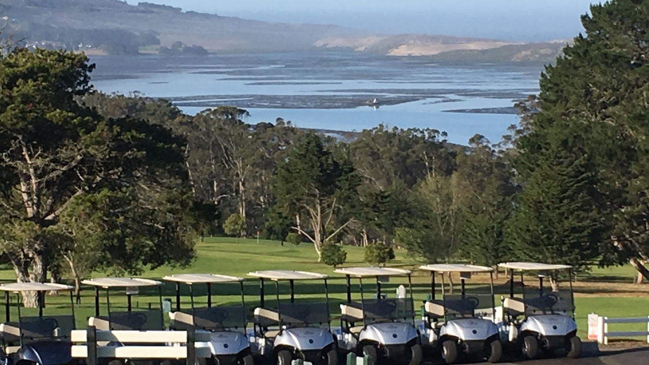 Photo of Others in Baywood Park