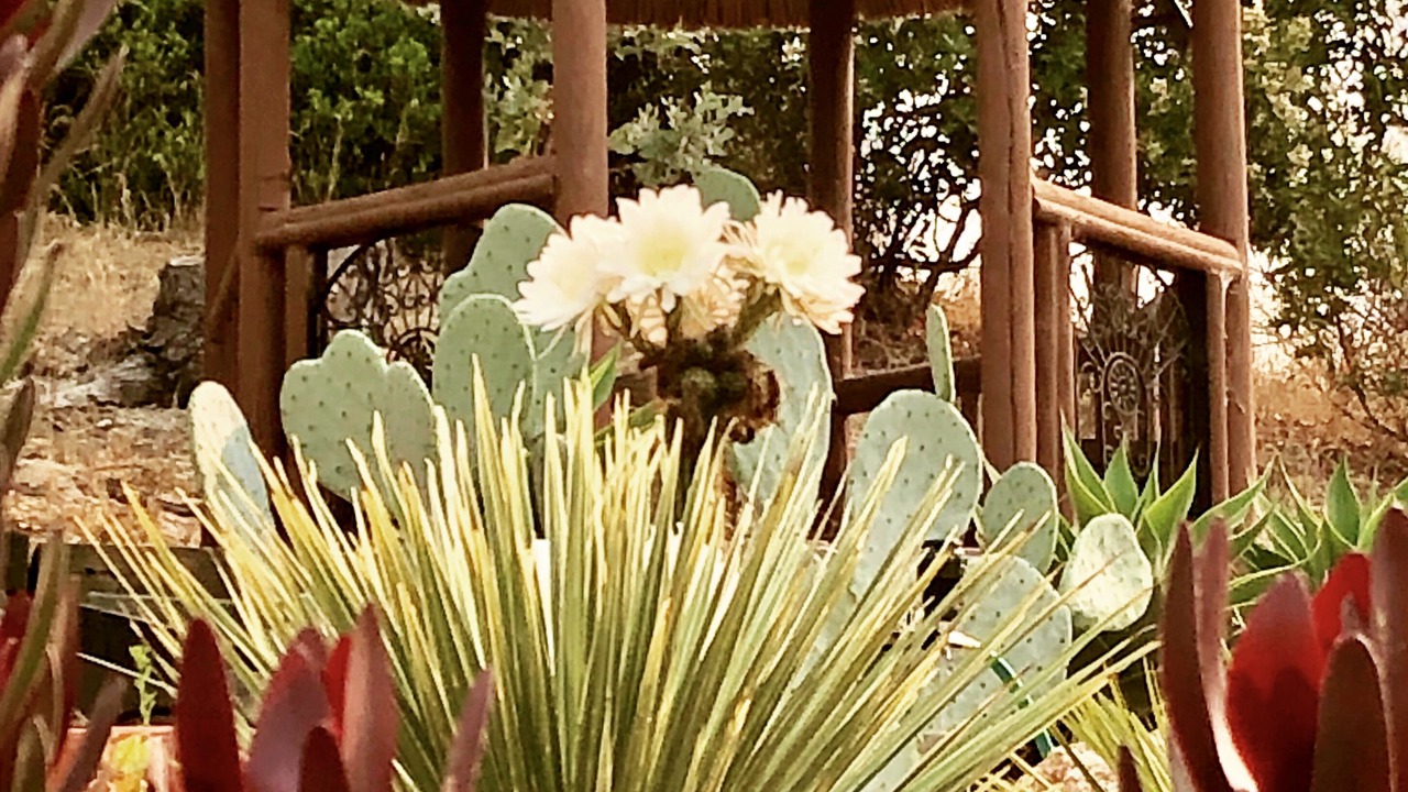 Photo of Outdoor in Carpenter Canyon