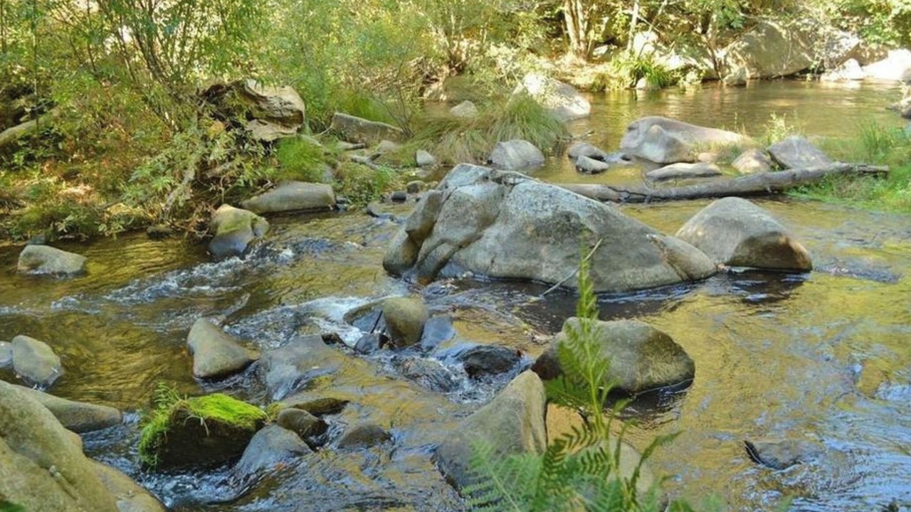 Photo of Others in Nevada City