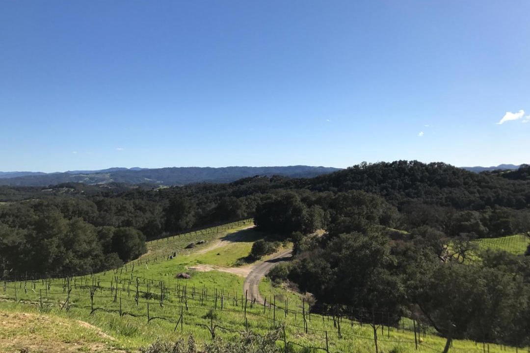 Photo of Others in Paso Robles