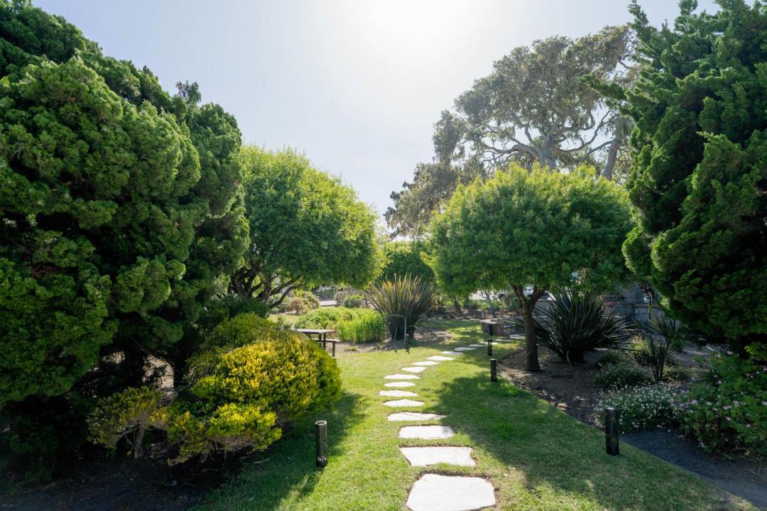 Photo of Others in Pacific Grove