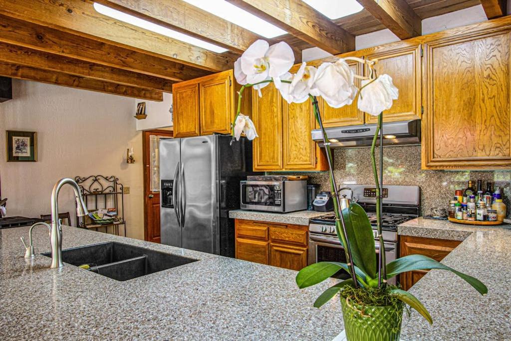 Photo of Others in Cazadero