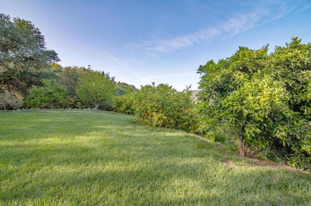 Photo of Outdoor in College City