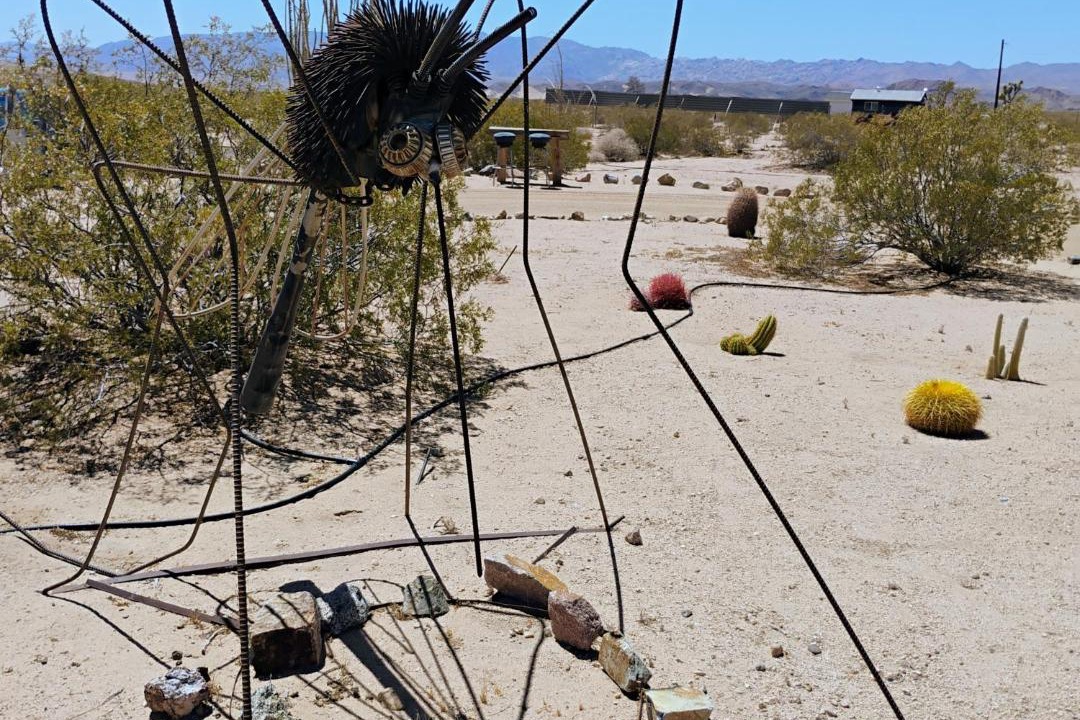 Photo of Others in Twentynine Palms