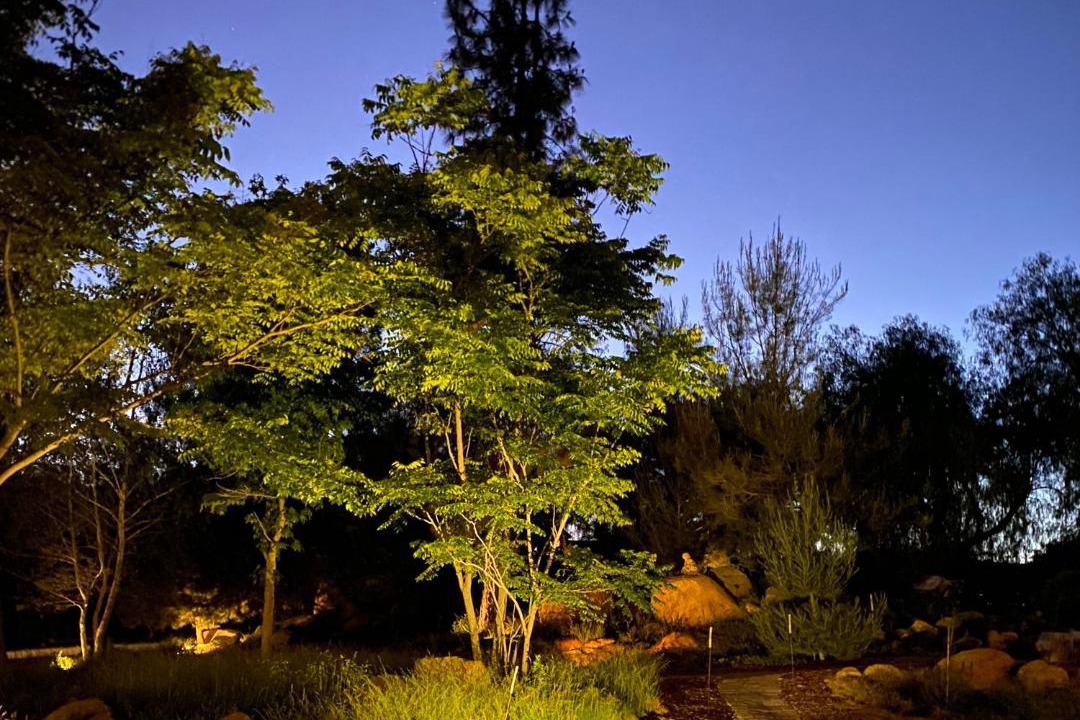 Photo of Outdoor in Murrieta