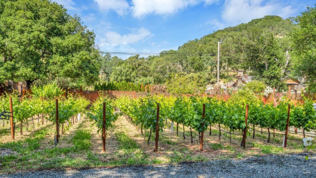 Photo of Others in Glen Ellen