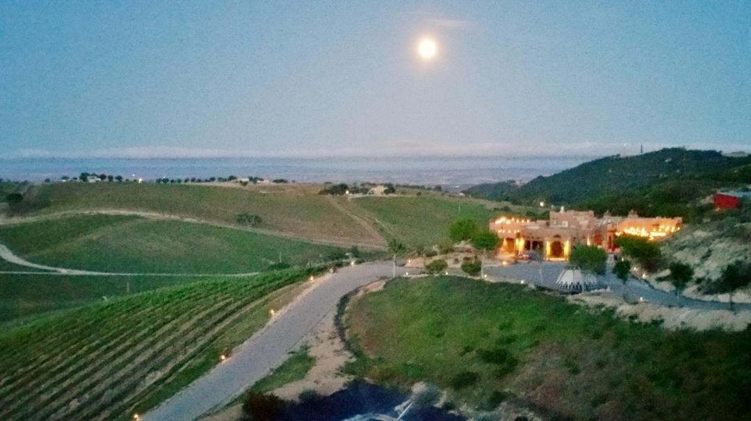 Photo of Others in Paso Robles