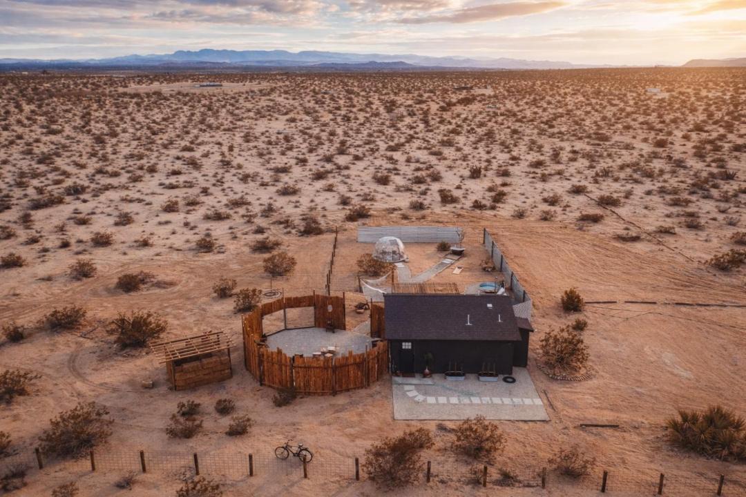 Photo of Others in Joshua Tree