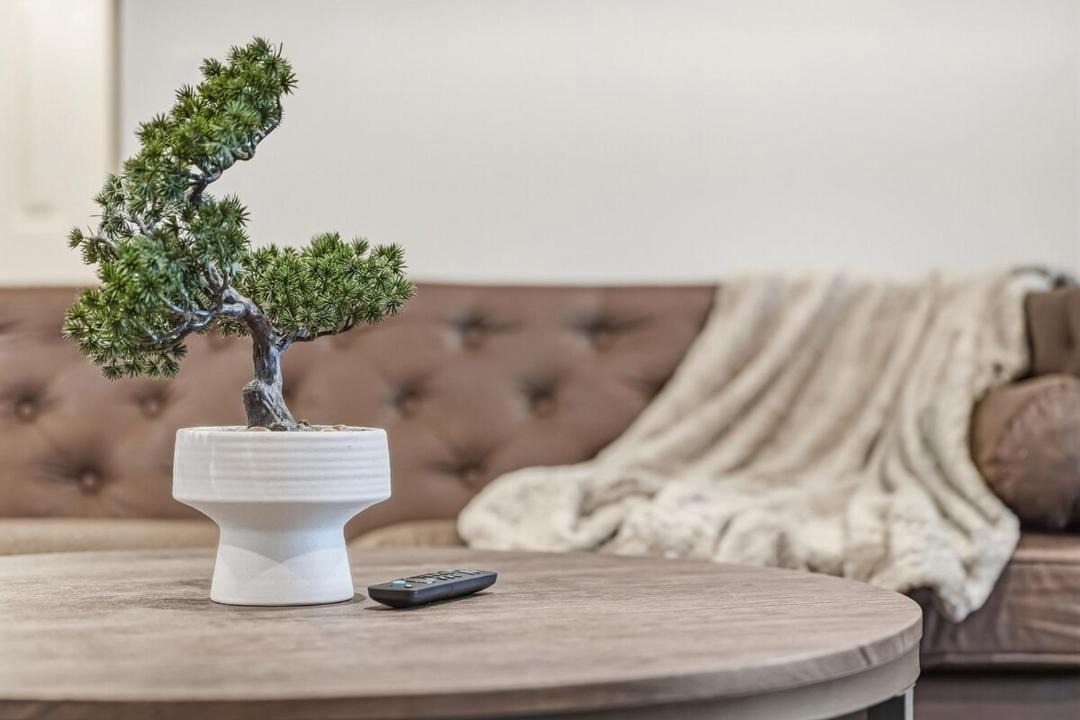 Photo of Livingroom in South San Jose