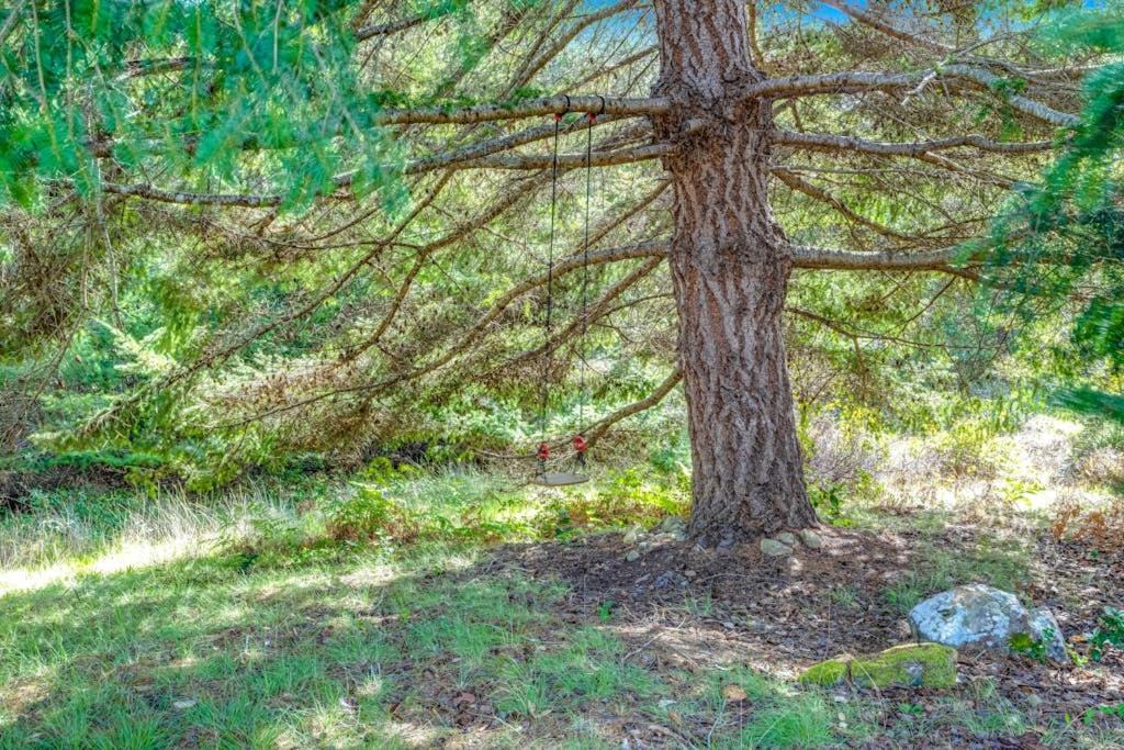 Photo of Others in Sea Ranch