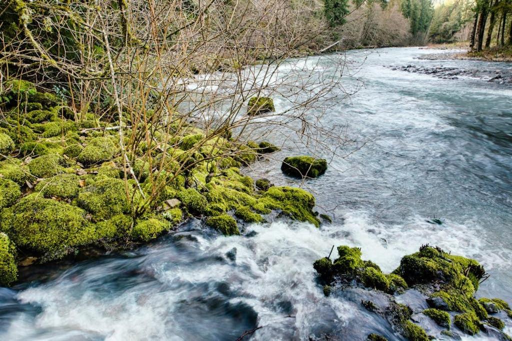Photo of Others in Molalla