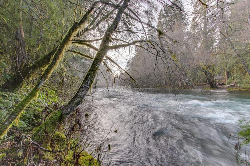Photo of Others in McKenzie Bridge