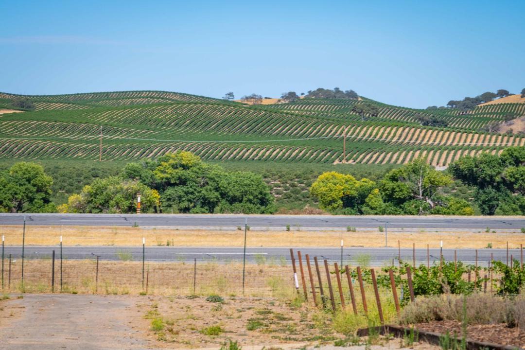 Photo of Others in Paso Robles