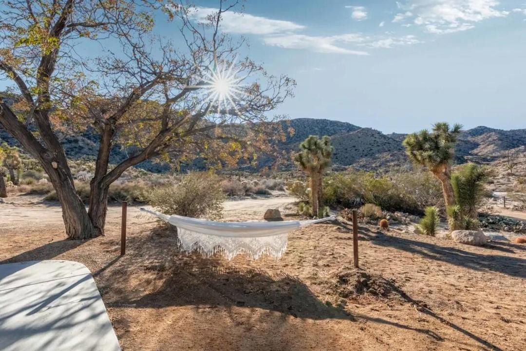 Photo of Others in Joshua Tree Highlands