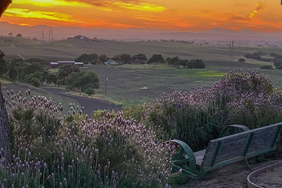 Photo of Others in Paso Robles