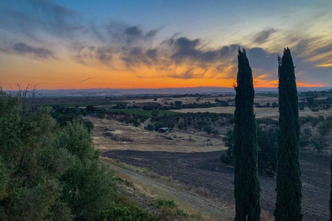 Photo of Others in Paso Robles