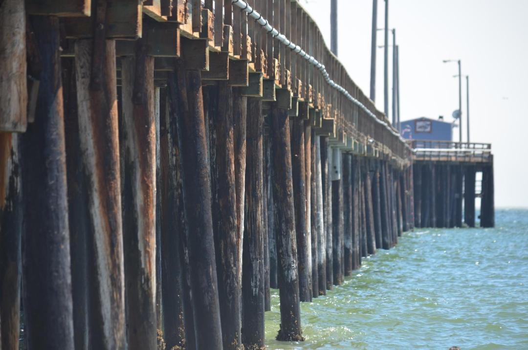 Photo of Others in Avila Beach