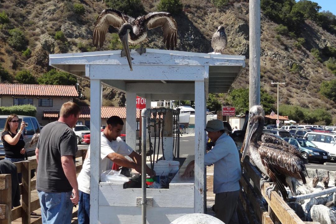 Photo of Others in Avila Beach