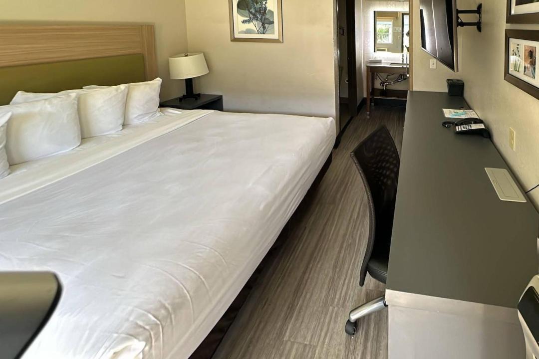 Photo of Bedroom in Marina